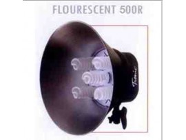 Tronic Fluorescent 500R Tronic Fluorescent 500R